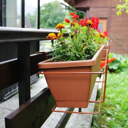 Auberge de jeunesse Hostel Bovec